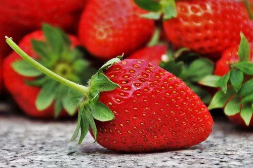 网易草莓在线视频观看,网易平台上的热门在线视频盛宴